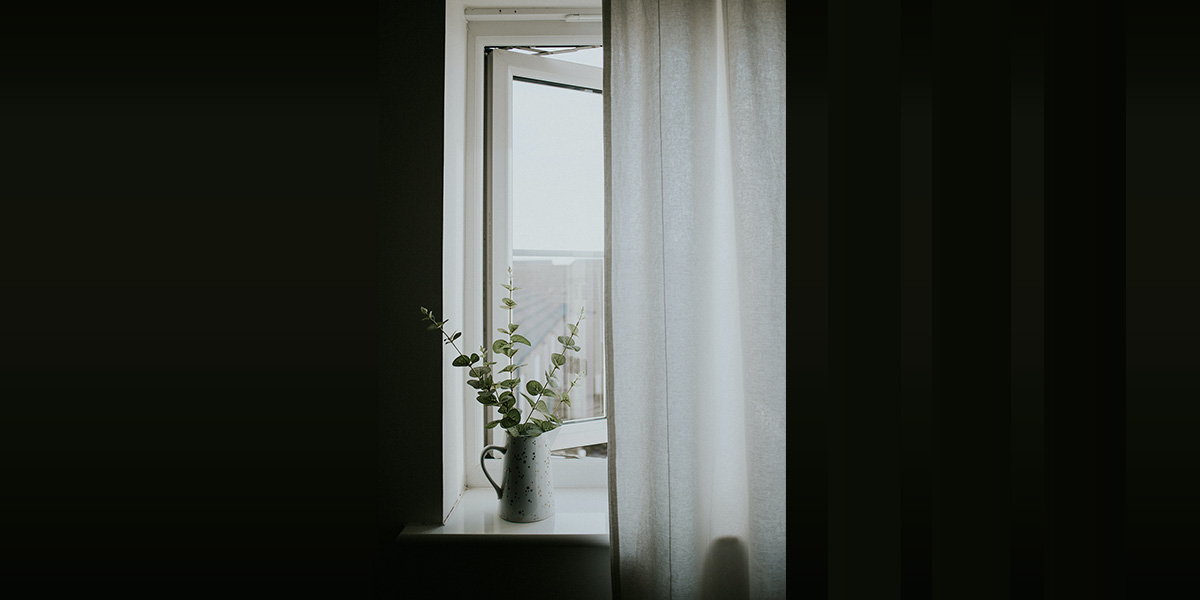 bright light coming through white sheer curtains making the wall it is on dark. Plant on windowsill is happy it's owner decluttered as part of her self-care today.