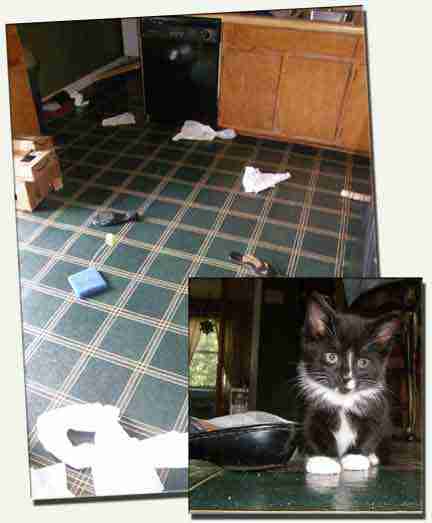 Accepting my husband for who he is may be what allows me to let him go. It's not what I want, but who am I to say he must be what I think is a better man?