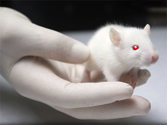 Treating Him Like a Science Project–Or a Lab Rat