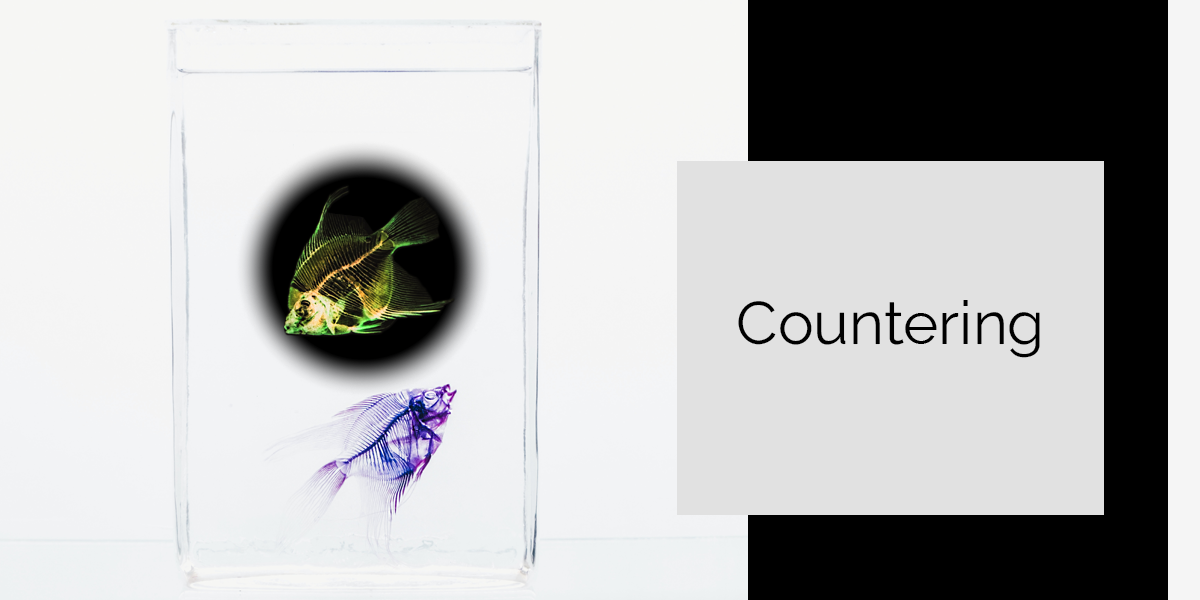 two fish in a glass, one is blue and beautiful in white water, the other is countering it with inverted colors and swimming in a black mass