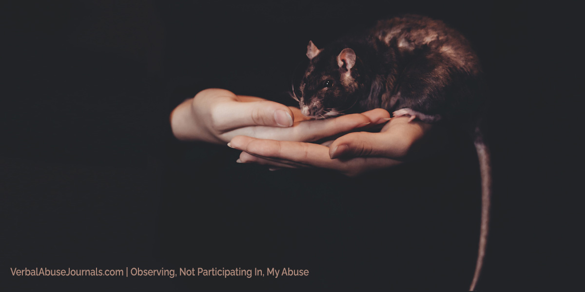Observing, Not Participating In, My Abuse